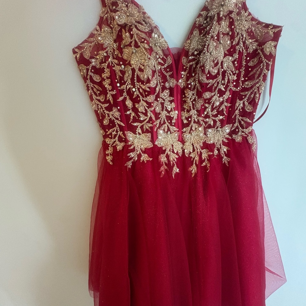 Red Dress with Gold Embroidery